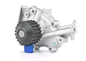 BSG 16-500-004 BSG Водяной насос